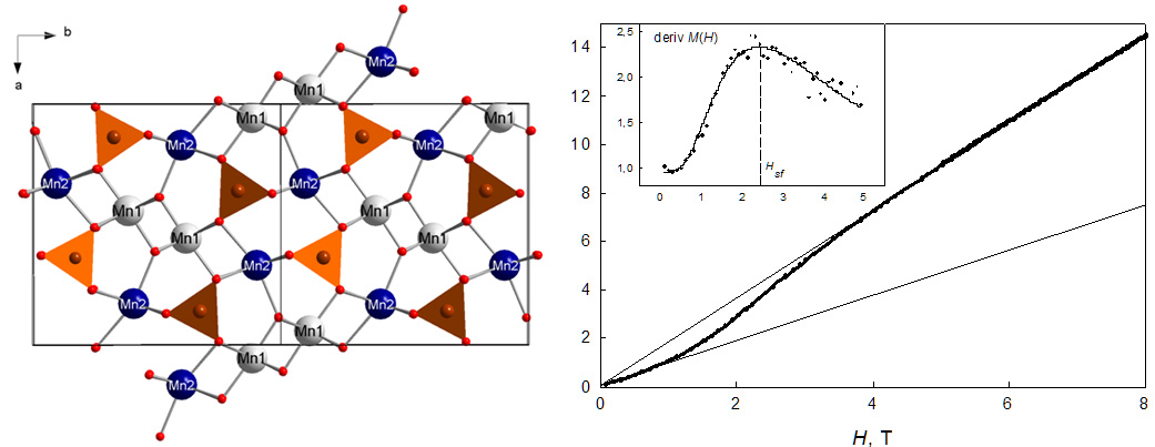 Орбитальное упорядочение и низкотемпературный антиферромагнетизм в варвиките Mn2BO4