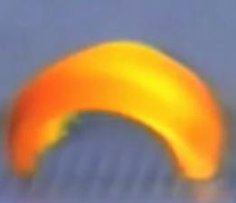 Японцы создали ходячий гель